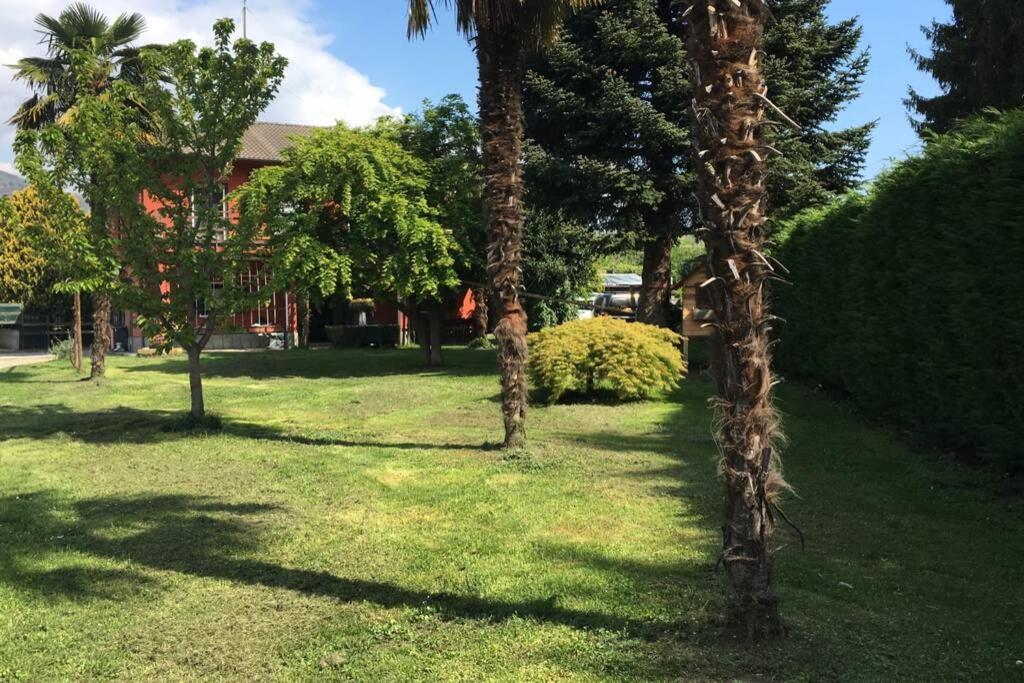 Garola Coccode Apartamento Luserna San Giovanni Exterior foto